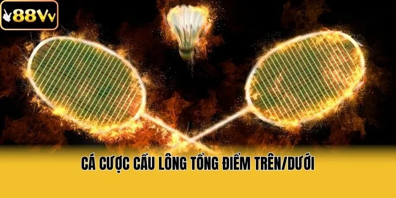Cá cược cầu lông  tổng điểm trên/dưới