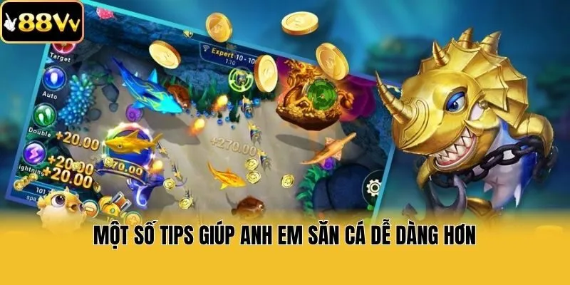 Một số tips giúp anh em săn cá dễ dàng hơn